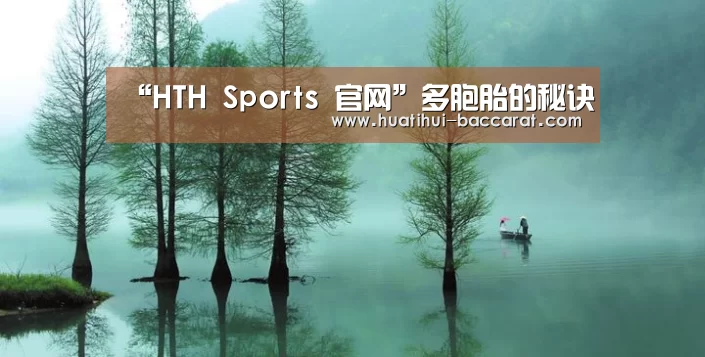 “HTH Sports 官网”多胞胎的秘诀(图1) 华体会登录入口