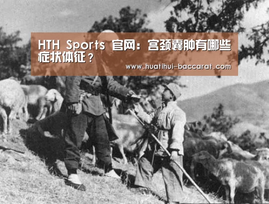 华体会登录入口