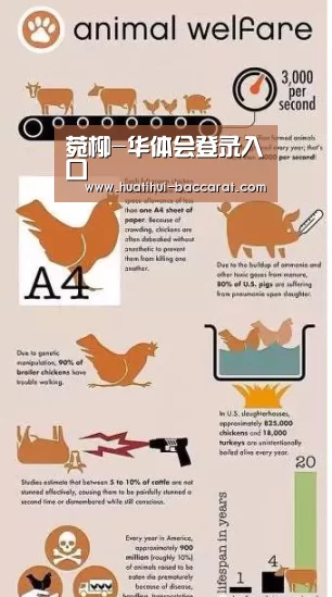 菀柳-华体会登录入口